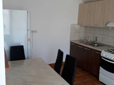 Duplex de inchiriat, 2 camere, zona Buna Ziua, PET FRIENDLY 