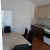 Duplex de inchiriat, 2 camere, zona Buna Ziua, PET FRIENDLY  thumb 1
