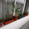 Apartament de 2 camere, 55 mp cu terasa de 11m + 1 loc parcare, zona Baciu/Regal thumb 12