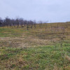 Teren 1000 mp, intravilan Babutiu., zona Colina Noua thumb 2