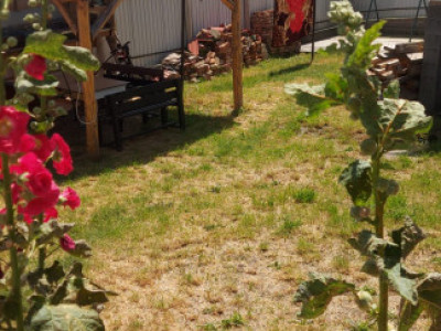 Casa de 6camere, decomandat, 127 mp., curte si gradina in zona Sandulesti Carier