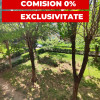 Apartament de 3 camere, decomandat, 64 mp., zona Micro 2 thumb 1