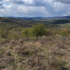 Oportunitate de investitie! Teren extravilan, 5000 mp, zona Dealul Targului. thumb 5