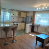 Apartament de 1 camera, 45 mp., decomandat, zona Buna Ziua thumb 3