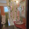 Apartament de 1 camera, 45 mp., decomandat, zona Buna Ziua thumb 7