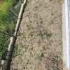 Duplex, 5 camere, 119,5 mp., teren 196 mp., Dezmir thumb 19