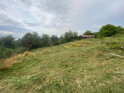  Teren intravilan 1279 mp , Valea Budacului 