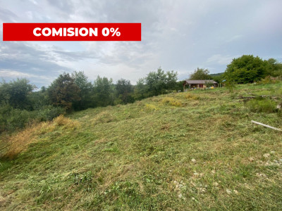  Teren intravilan 1279 mp , Valea Budacului 