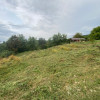  Teren intravilan 1279 mp , Valea Budacului  thumb 1