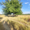Teren intravilan, 1200 mp, in cartierul BAI SARATE TURDA thumb 1