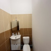 Spatiu comercial , 181 mp utili , zona Big  thumb 5