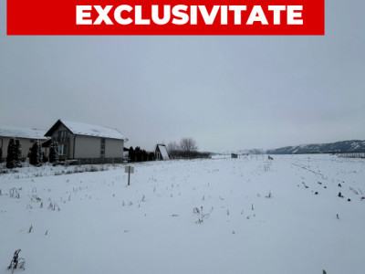 COMISION 0%!!! Teren intravilan,750 mp, in Viisoara