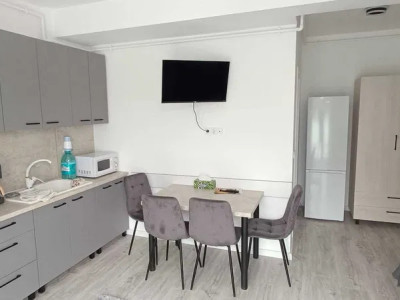 Apartament de 2 camere, decomandat, 40 mp., terasa 25 mp., zona zavoaie