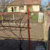 Casă individuală , 3 camere , 244 mp teren  thumb 3