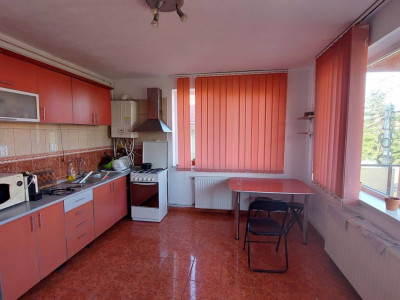 Apartament de 1 camera, 45 mp, mobilat/utilat, cartier Andrei Muresanu