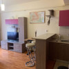 Apartament 2 camere, mobilat/utilat, semidecomandat, 38 mp, zona Tauti thumb 2